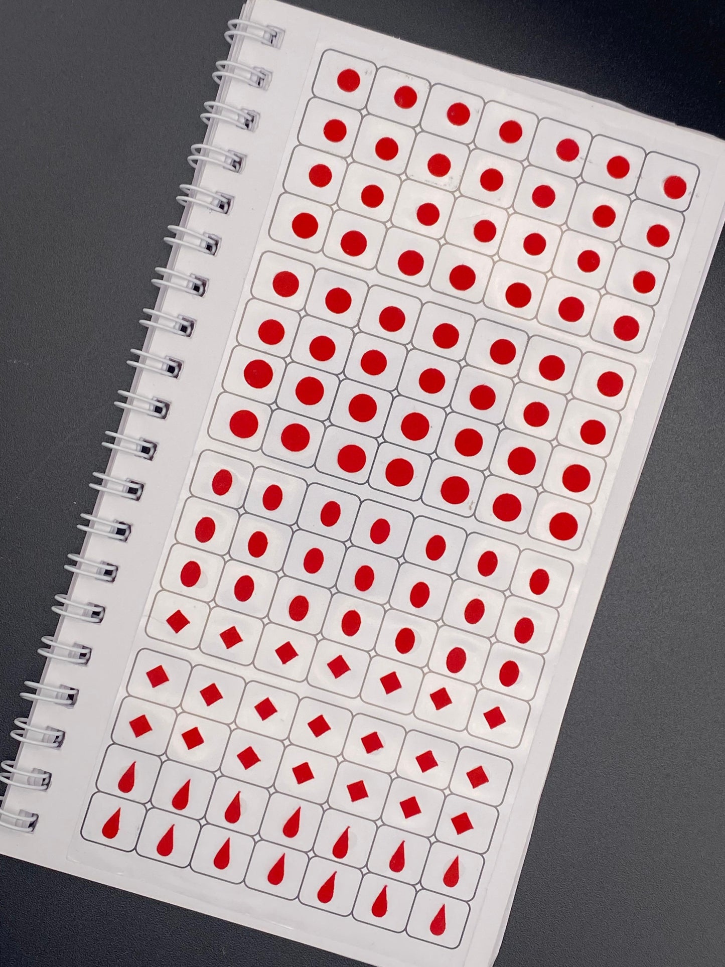 Bindi Book - Vidhi Pari