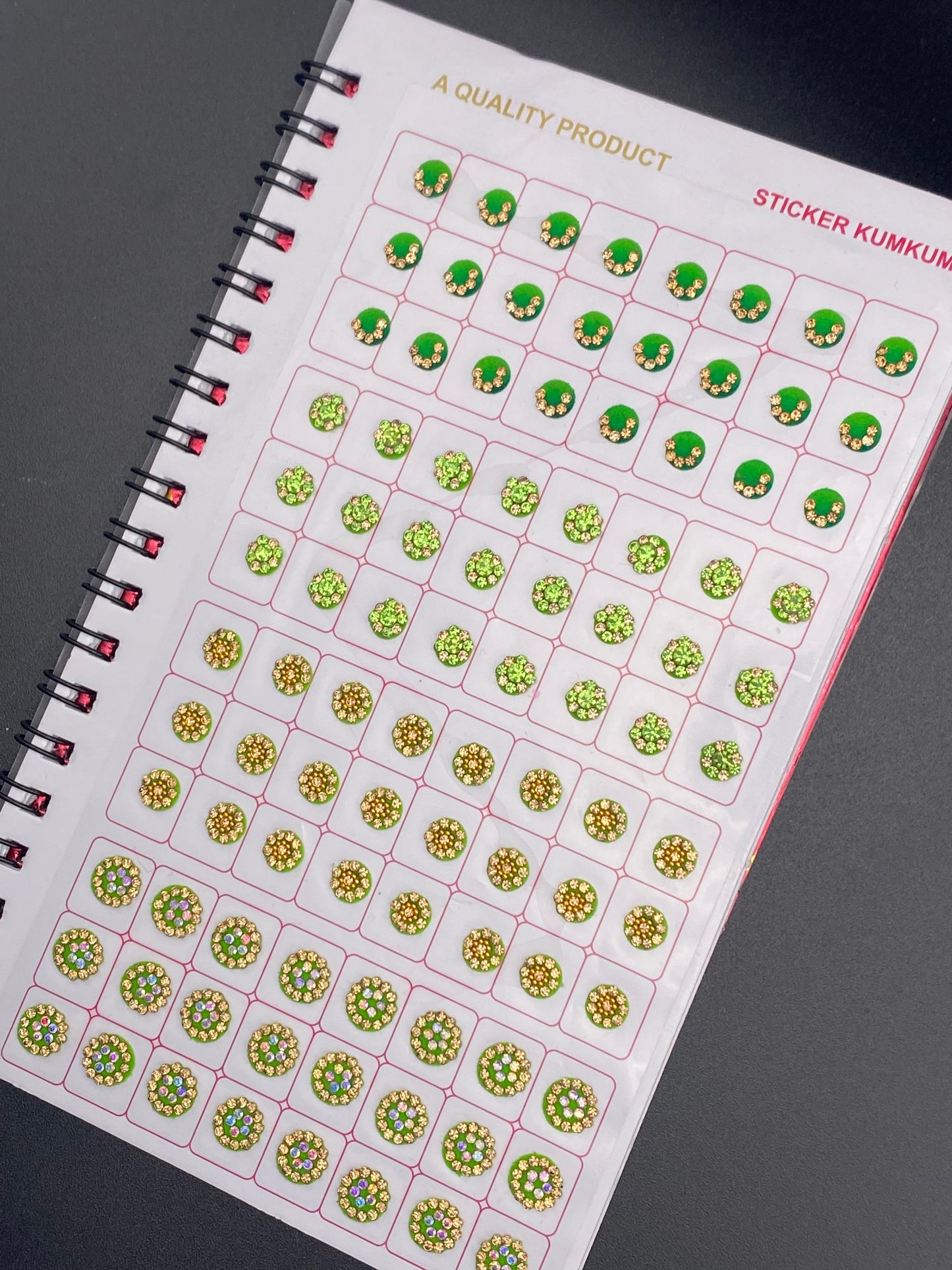 Bindi Book - Navya 96P1